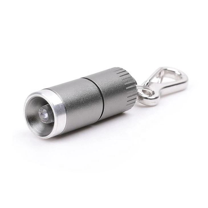 Torch Key Ring Torch Key Ring