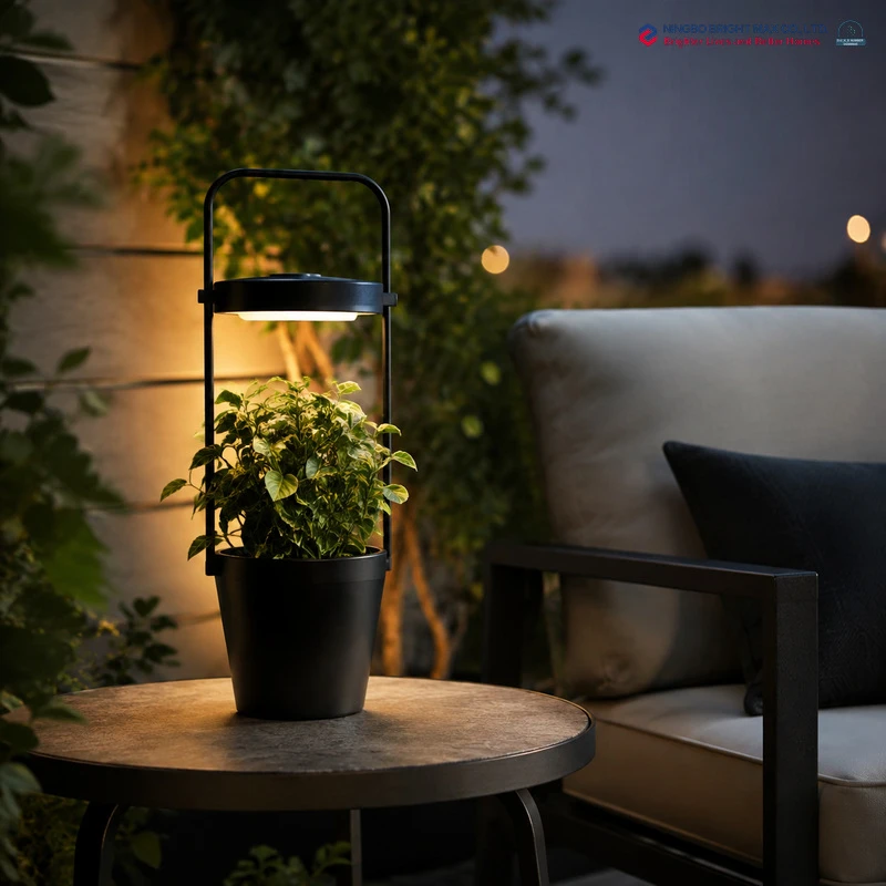 Flowerpot With Solar Lamp