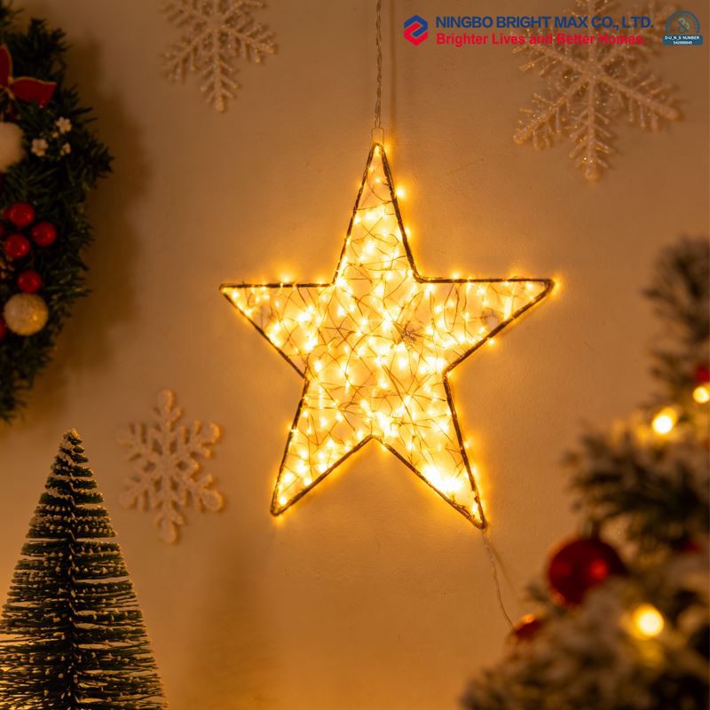 Metal LED Star