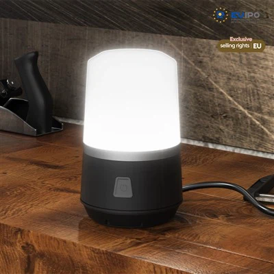 4000 Lumen Work Light