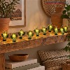 Cactus String Light