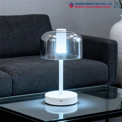 Indoor Table Lamp