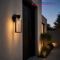 Modern Solar Wall Light