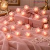 Pink Rose String Lights