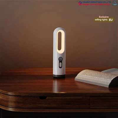 Portable Rechargeable Night Light