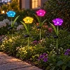 Solar Flower Stake Light
