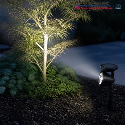 Solar Spotlight