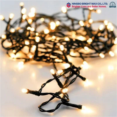 String Lights For Trees Outdoors