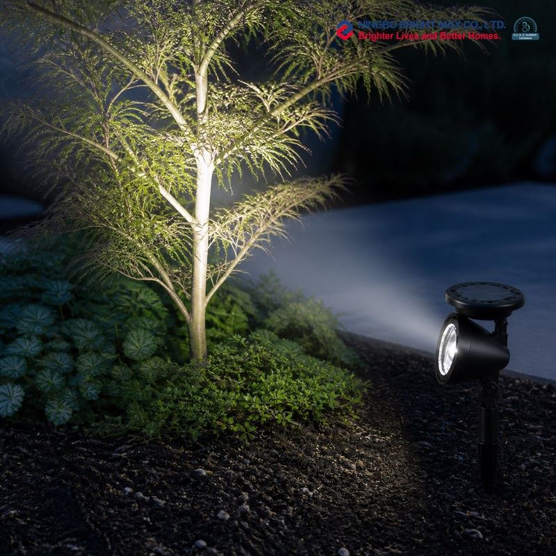 Solar Spotlight